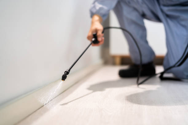 Licensed Termite Control service in St. Clair County County, MI - Nex Pest Control