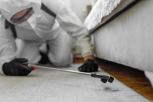 Professional Termite Control technician working in St. Clair County County, MI